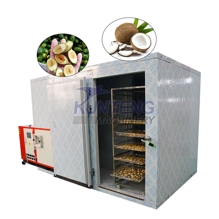 Mesh Conveyor Belt Fruit Vegetable Dryer