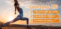 Coenzyme Q10 Capsules d'huile de graines de lin et de natto Softgel (santé anti-cardiovasculaire) Bouteille de 60 pièces-Pour adultes âgés d'âge moyen