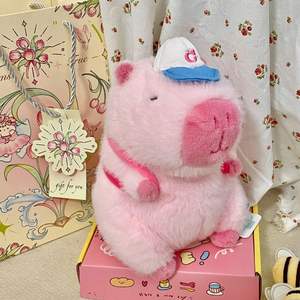 Hoogwaardige acht inch klauwautomaatpoppen zachte pluche speelgoed bruiloften jaarlijkse bijeenkomsten groothandel verjaardag evenement geschenken PP zakken - Product Image 5