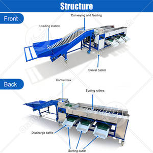 ORME Apple <b>Fruit</b> <b>Grade</b> <b>Machine</b> Cherry Green Olive Sort <b>Machine</b> Sweet Potato Wash and Sort <b>Machine</b> - Product Image 2