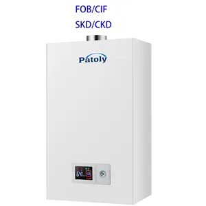 Professional manufacture of mini gas combination wall mounted gas boiler for home use wall-hung boiler