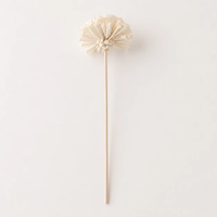 Diffuseur de parfum d'ambiance en bois de Sola, fleur d'œillet de 6 cm, fait main, vente en gros, direct usine, OEM