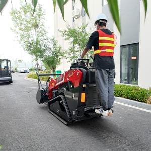 Mini Skid chỉ đạo Bộ nạp V1000 nhỏ gọn Crawler thủy lực skidsteer theo dõi bộ tải 25HP Kubota động cơ với trống rừng mulcher - Product Image 4