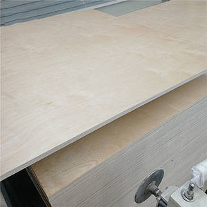 <span class=keywords><strong>Contreplaqué</strong></span> de bouleau <span class=keywords><strong>vernis</strong></span> 1220X2440MM - Product Image 5