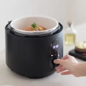 Factory Supply Household 3L Electric Multi Pressure Cooker For Rice Soup Porridge Multi Function Pressure Cooker