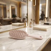 Brosse à cheveux en plastique incurvée à picots creux, démêlante, en nylon doux, pour massage du cuir chevelu, antistatique, pour usage quotidien en salon