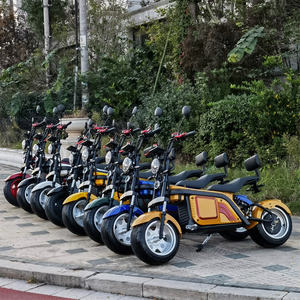 Leon Citycoco, Motocicleta Eléctrica Citycoco con Tecnología Avanzada <span class=keywords><strong>Hulk</strong></span> <span class=keywords><strong>2000</strong></span> W - Product Image 4