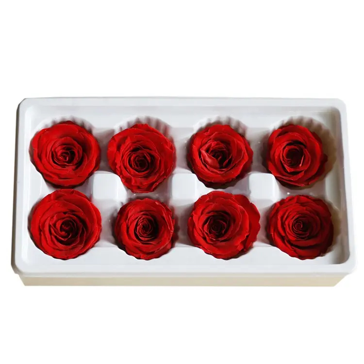 Caja de rosas preservadas para decoración, caja de regalo de grado B de 4-5cm, 8 unidades por caja