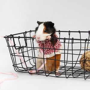 工場直販かわいいフェレットハニークォールハムスターリス屋外ハーネスペット牽引ロープリスチェック柄服 - Product Image 5