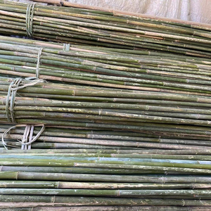 Bamboo Pole