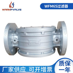 Filtres à gaz tubulaires DN65 fournis par le fabricant pour le gaz naturel et le gaz de pétrole liquéfié - Product Image 5