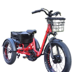 Nouveau Design électrique trois roues <span class=keywords><strong>vélo</strong></span> 750w/500W 3 roues voiture Cargo Tricycle électrique gros pneu avec UL approuvé - Product Image 3