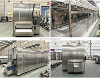 Industriële IQF-tunnelvriezer voor snelvriezen van vis, fruit, groenten, vlees en productielijn voor dumplings