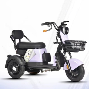 Vente en gros Offres Spéciales petit tricycle 3 roues cyclomoteur scooter électrique 48V 600W ville loisirs tricycle électrique avec siège enfant pour adulte - Product Image 6