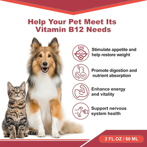 Stimulant de l'appétit pour chiens-Gouttes liquides de vitamine <span class=keywords><strong>B12</strong></span> (méthylcobalamine) stimule l'énergie de l'appétit Soutien immunitaire rapide - Product Image 3