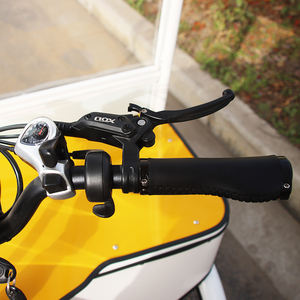 <span class=keywords><strong>Quad</strong></span> à quatre roues de 1000 W, dernier modèle, vélo <span class=keywords><strong>électrique</strong></span> cargo, fourgon de livraison, 4 roues, vélo <span class=keywords><strong>électrique</strong></span> de fret avec boîte en aluminium - Product Image 6