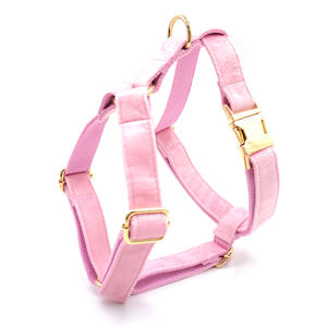 Luxury Velvet Pet Harness Set Hunde halsbänder im Custom Design mit gepolstertem Funktions knopf Verschluss typ Inklusive Fliege Poo Bag Holder - Product Image 4