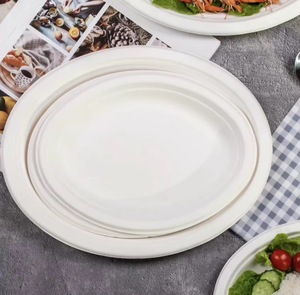 Assiettes jetables en bagasse de canne à sucre compostables de 10 pouces pour la restauration et les événements hôteliers - Product Image 4