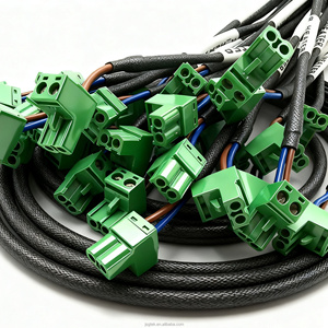 Màu xanh lá cây thiết bị đầu cuối và Molex kết nối cáp-chuyên nghiệp OEM dây khai thác lắp ráp tùy chỉnh - Product Image 5