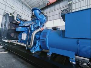 Grupo electrógeno portátil con diseño de Marco abierto Grupo electrógeno diésel - Product Image 4