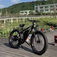 Large Tire Electric Bicycle, 48V, 500W, 60V, 750W, 1000W