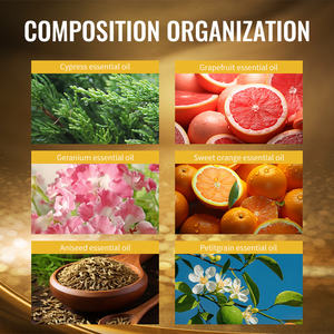 Plester obat panas Herbal, pereda penetrasi dalam untuk nyeri otot bahu & leher & perawatan nyeri sendi - Product Image 4