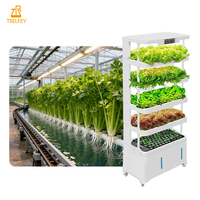 Usine de culture hydroponique verticale intérieure pour la production de salades, la culture de fraises, système hydroponique pour laitues sans pesticides