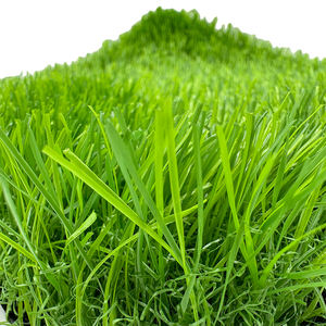 Césped <span class=keywords><strong>Artificial</strong></span> de Enclavamiento Extraíble, Césped Modular Pp, Césped <span class=keywords><strong>Artificial</strong></span> de Enclavamiento, Césped de Césped Extraíble, Artículo de Compra, Artículo de Césped - Product Image 3