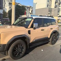 Pour Toyota LC250 Prado 2024+, couvre-rétroviseur chromé pour voiture