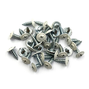 Viti per Tetti con Testa a Traliccio in Zinco Verniciato RAL9016, Vendita all'Ingrosso - Product Image 5