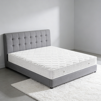 Colchón de Lujo Queen Size con Núcleo Grande de Muelles de Acero y Tejido de Punto, Diseño Moderno para Hotel, Apartamento, Hospital, Parque, Dormitorio