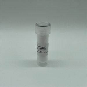 99% Snap-8 Extracto Herbal Antiarrugas en Polvo de Péptidos CAS 868844-74-0 Acetil Octapéptido-1 - Product Image 1