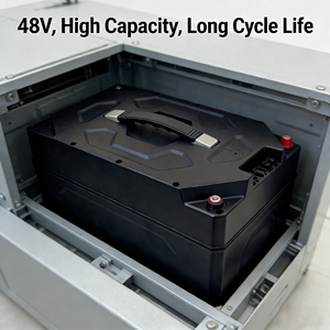 Batterie 48V 30Ah avec protection contre les décharges excessives pour tricycles électriques - Product Image 1