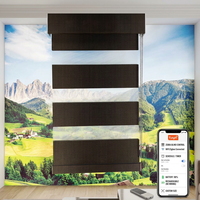 Store Enrouleur Intelligent Zebra Sur Mesure WiFi Tuya Zigbee avec Télécommande via App, Batterie Rechargeable, Installation Sans Câblage