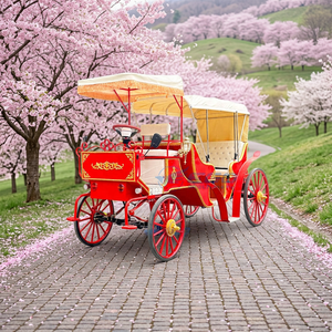 Carrosse de luxe à deux rangées, rouge, pour visites touristiques, de type Victoria, à chevaux, historique, royal, électrique, pour mariage, à vendre - Product Image 1