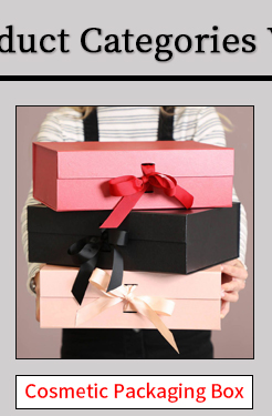 Sturdy And Compressive Gift Box Corrugated Paper Airplane Case food sushi pizza BoxThe Toy digital Box