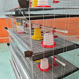 Nhà Máy Trực Tiếp Bán Tùy Chỉnh 3 Tầng Hình Chữ H Gà Con ấp trứng Gà Nhỏ Lồng Bé Gà Con Lồng Trong Zimbabwe Gia Cầm - Product Image 5