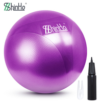 Ballon de yoga et de Pilates Shinho OEM breveté anti-éclatement, style Harmony, pour l'équilibre du tronc, la remise en forme et la thérapie, avec certification EU PPWR REACH