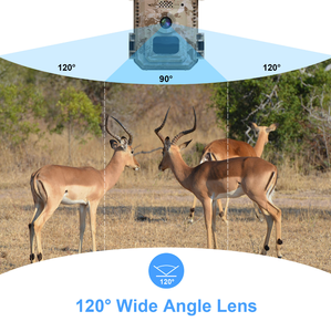 Caméra de chasse étanche IP66 4G basse consommation 4MP Photo Alimentée par énergie solaire Suivi de mouvement par IA Caméra solaire Vision nocturne couleur - Product Image 5