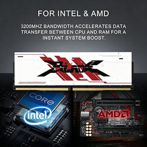 PUSKILL <b>DDR4</b> 3200MHz 3600MHz RGB <b>RAM</b> 8GB 16GB 32GB Desktop Gaming Memory UDIMM 1.35V - Product Image 3