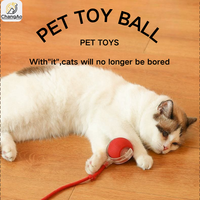 Balle interactive intelligente pour animaux de compagnie, roulement à 360 degrés, silicone, rechargeable par USB, jeu d'intérieur