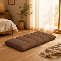 Canapé-lit pliant réglable à 5 positions, chaise longue inclinable, matelas pour salon, chambre à coucher, appartement