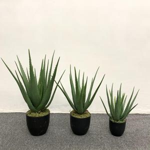 Maceta Artificial <span class=keywords><strong>de</strong></span> Aloe <span class=keywords><strong>Vera</strong></span> para Decoración Interior del Hogar, Plantas Suculentas, Planta Verde, Bonsái, Maceta Suculenta <span class=keywords><strong>de</strong></span> Simulación - Product Image 1
