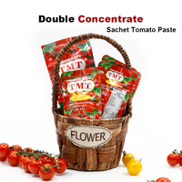 Sauce Tomate Rouge Fraîche en Sachet 50g/56g/70g – Pâte de Tomate – Vente Chaude Direct Usine Chine