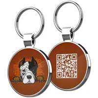 QR-Code Haustier-ID-Anhänger Hundemarken Direkt vom Hersteller Personalisierte Blanko Lasergravur Aluminium Metall-Pin Silber HD OPP-Beutel Engel