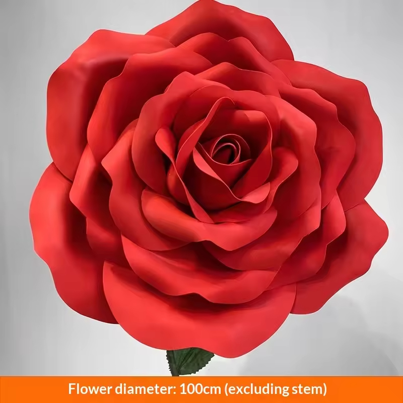 Diamètre de la fleur de rose 1M