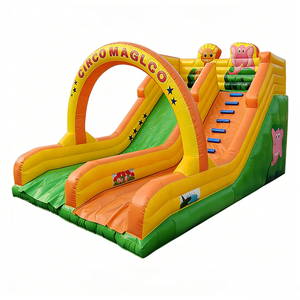 Château gonflable à thème de cirque magique Douerfei avec toboggan, en PVC, capacité de 500 kg, respectueux de l'environnement, pour usage commercial - Product Image 5