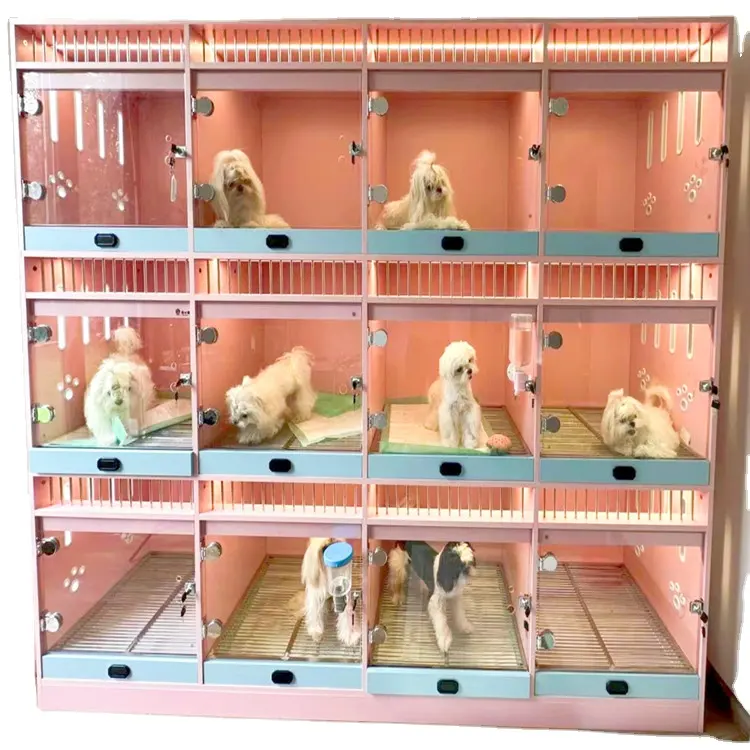 Ticari Pet otel Pet mağaza kullanımı birden katmanlar istiflenebilir köpek evi yavru köpekler için kapalı ahşap kafes