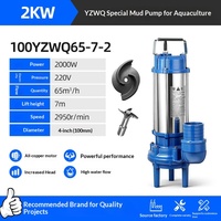 Pompe à eaux usées 220V pour usage domestique, pompe à eaux usées pour ferme, petite pompe auto-amorçante en acier inoxydable avec fonction de découpe, cette pompe