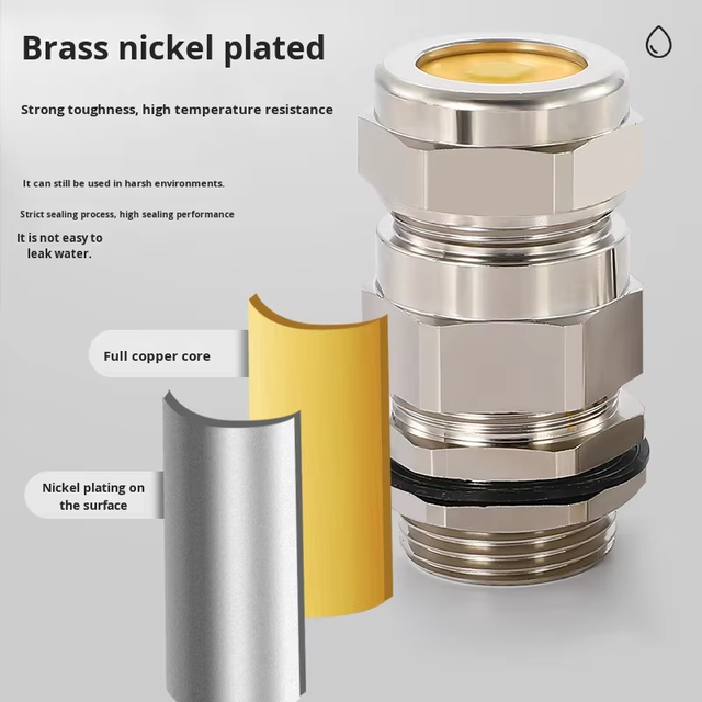 IP68 Explosion Proof Double Compression Brass Explosion Proof Cable Gland Suitable for SWA Steel Wire Armoured Cable